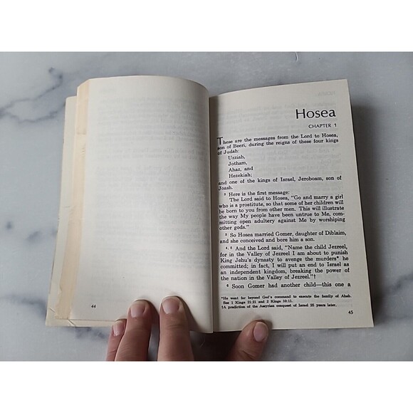 Living Prophecies With Daniel And The Revelation Paperback - Picture 4 of 10